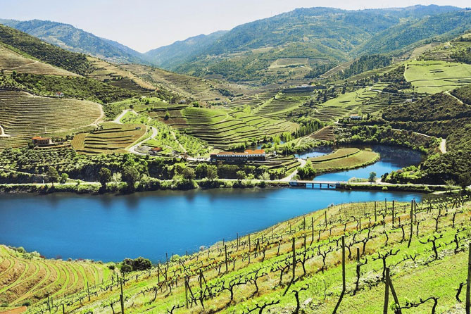 Authentic Douro Wine Tour Including Lunch and River Cruise