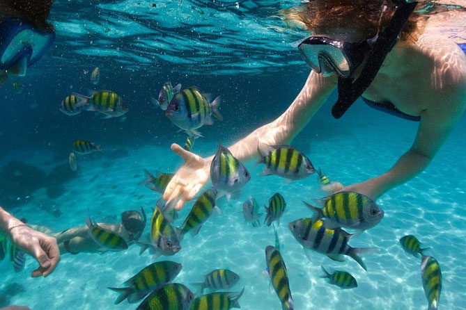 Miami-to-Key-West-Day-Trip-with-Activity-Options1